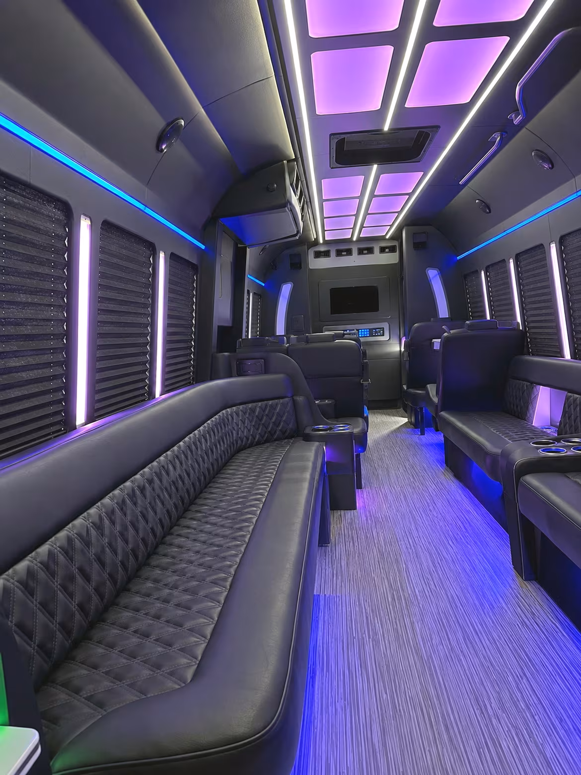 new rochelle enjoy music lights and fun with new rochelle party bus rentals